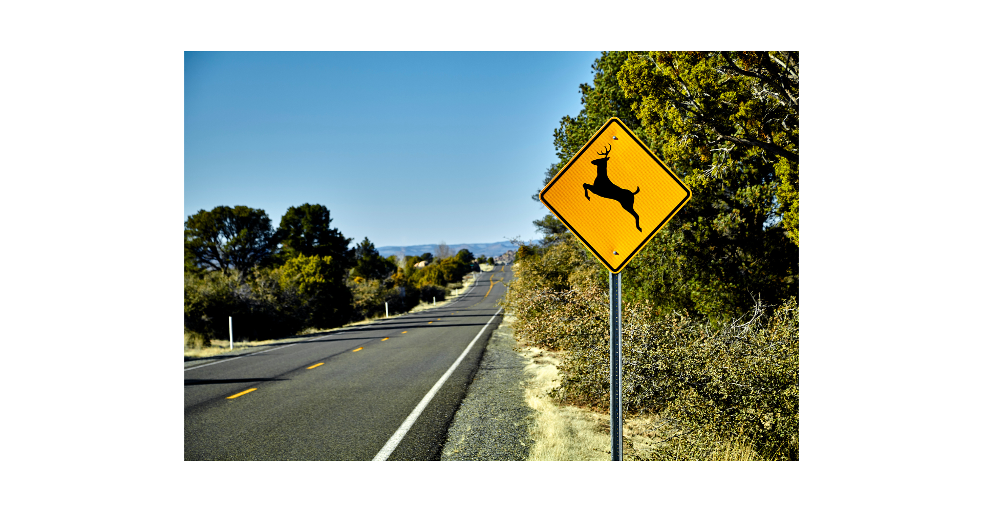 señalamiento preventivo para carretera