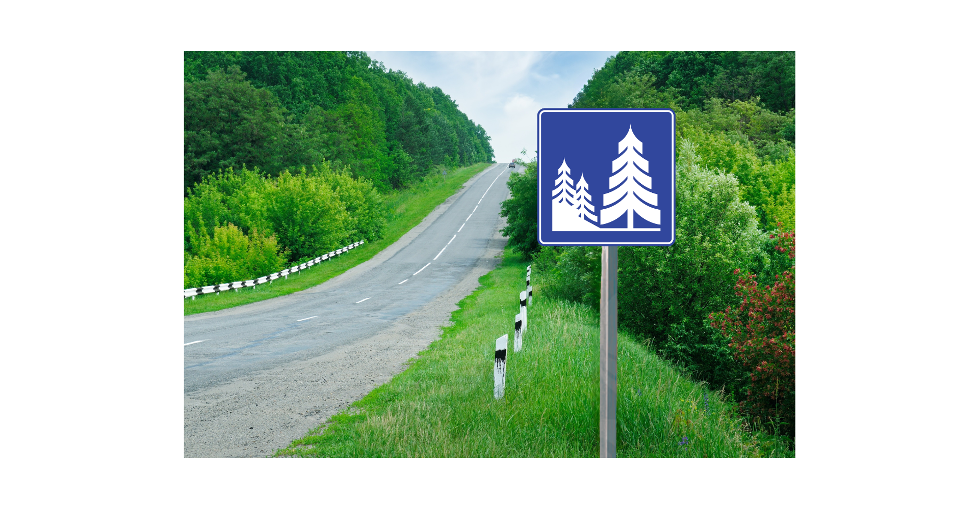 señalamientos para carretera